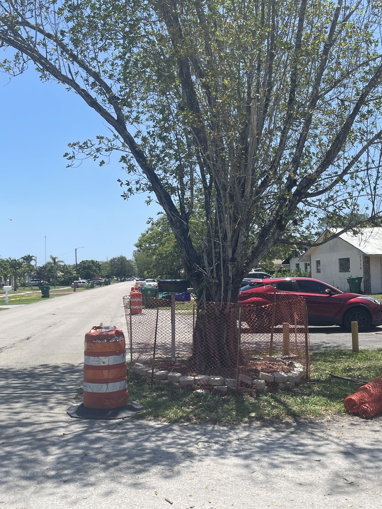 Tree Protection (3)   May 2025