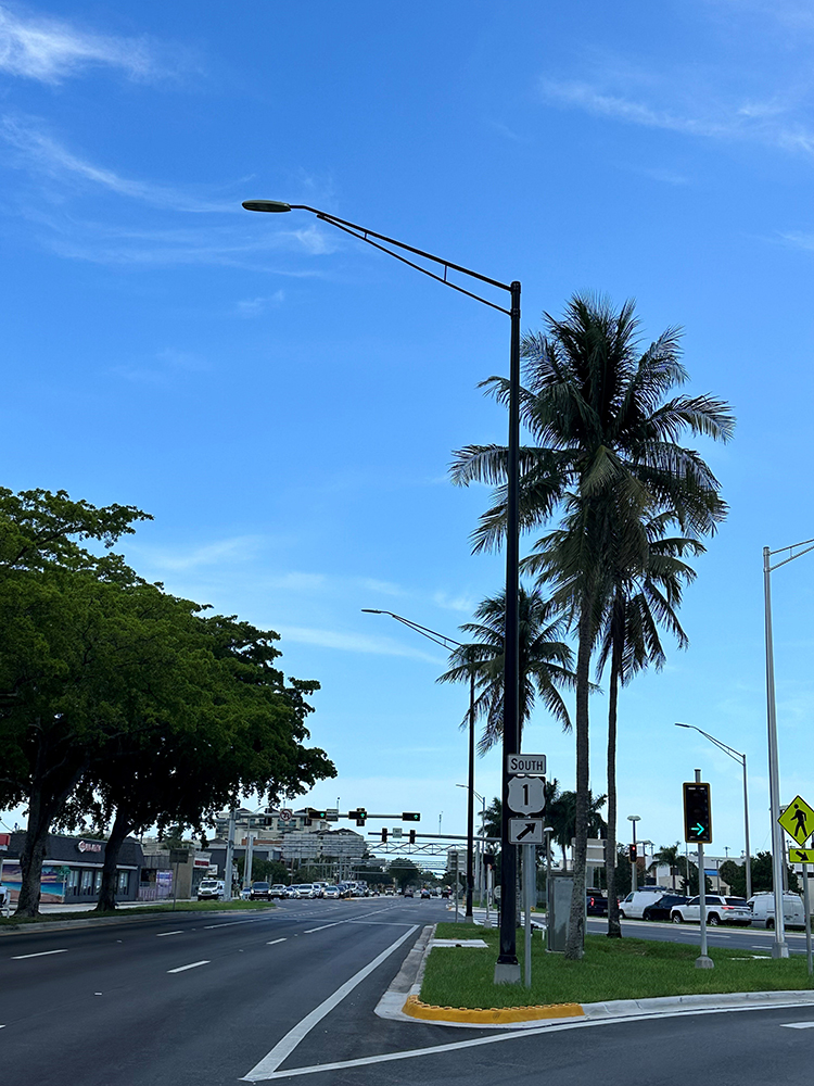 SR 838/Sunrise Boulevard Lighting Improvements Project