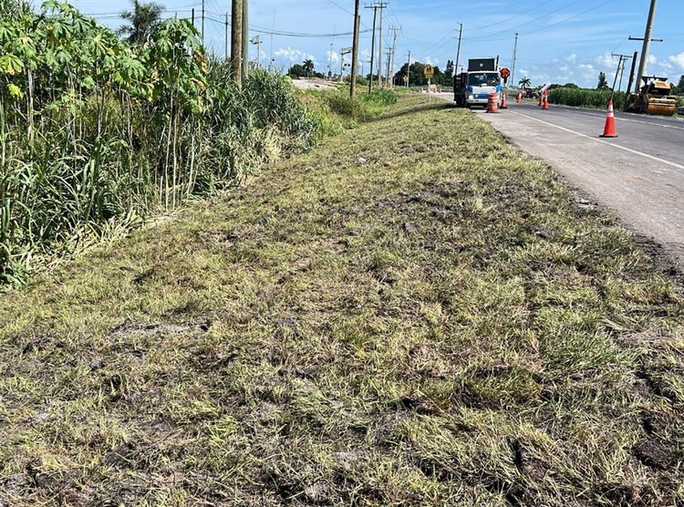 Sod placement on slopes   September 2024