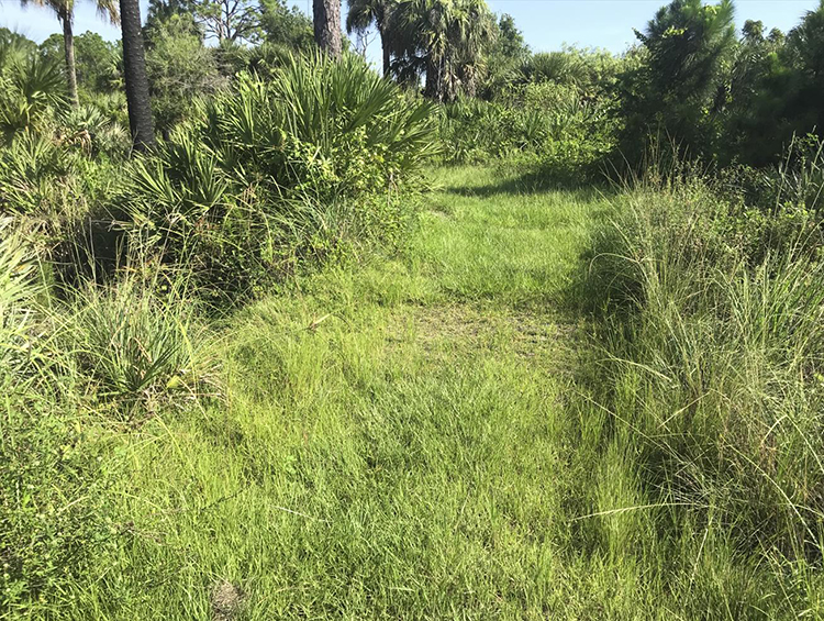 Savannas Preserve State Park SUN Trail Improvements Project