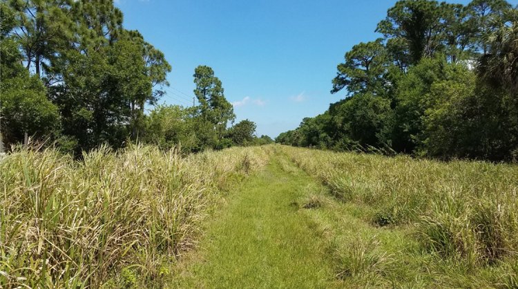 SUN Trail Improvements Project 